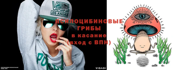 apvp Снежногорск