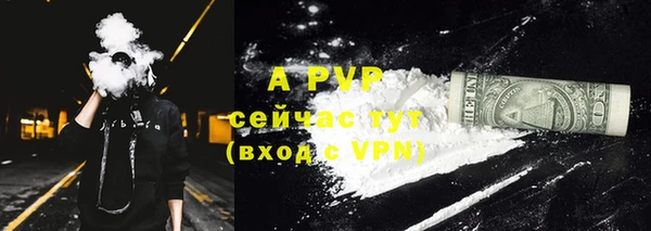 дурь Няндома