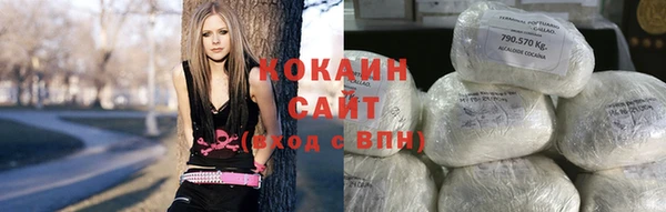 apvp Снежногорск