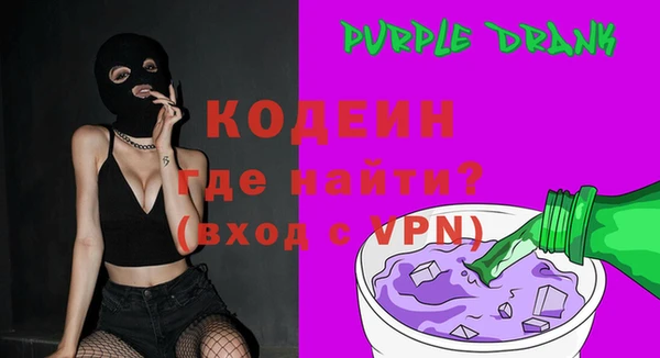 apvp Снежногорск