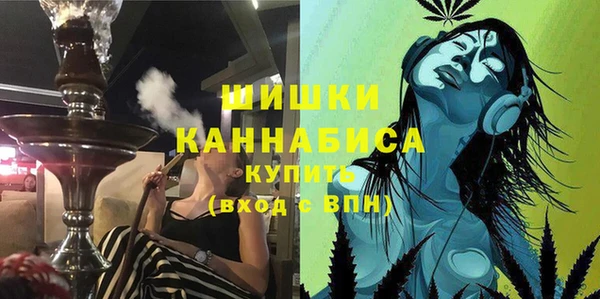 apvp Снежногорск
