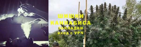 apvp Снежногорск