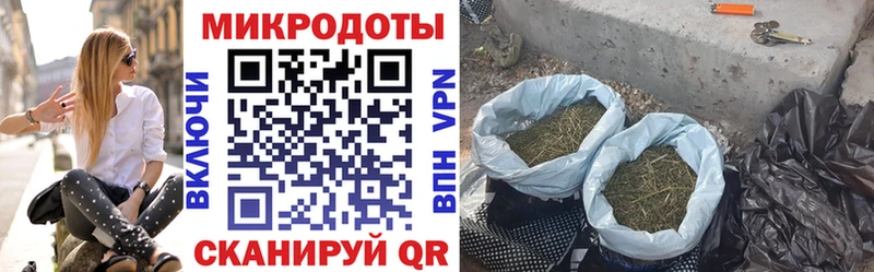 Псилоцибиновые грибы Cubensis  дарнет шоп  Сурск 