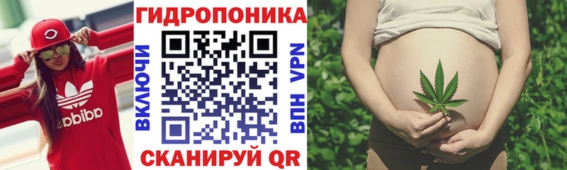 блэк спрут онион  наркотики  Сурск  Марихуана марихуана 